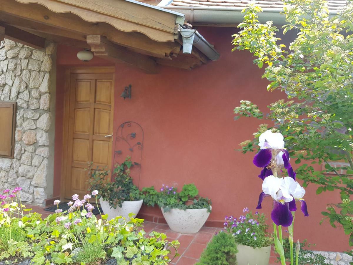 Mediterrán apartman Pecs Bagian luar foto